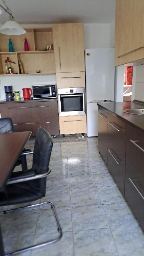 Daria Lorenzo Apartament Timişoara Exterior foto